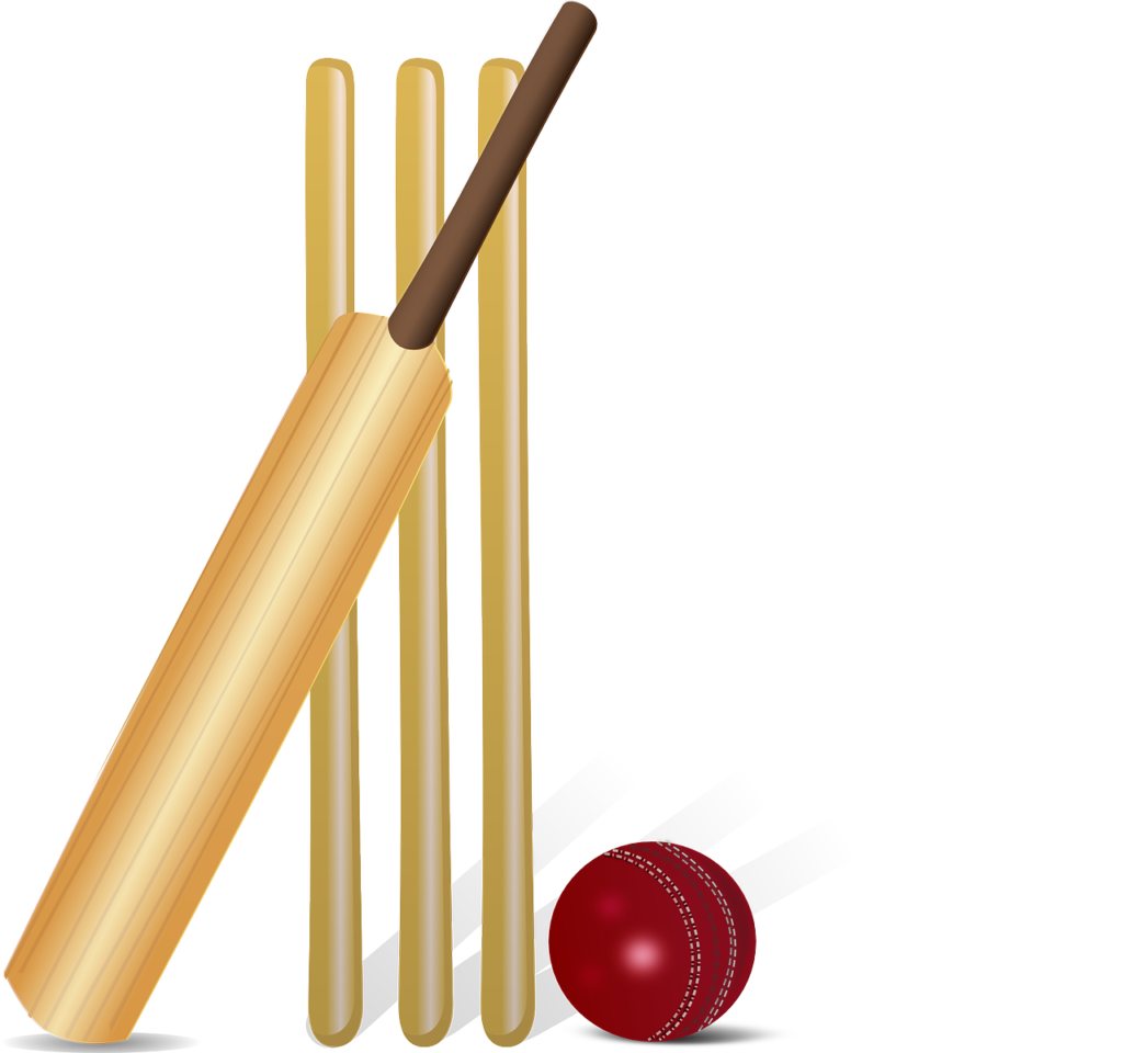 cricket, cricket bat, bat-155965.jpg